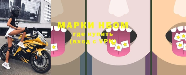 твердый Осинники