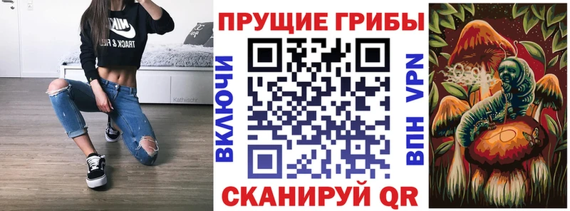Галлюциногенные грибы прущие грибы мега онион Касли